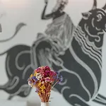 La Stella 格拉斯托斯