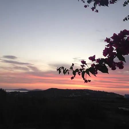 La Stella Hotell Glastros (Mykonos)