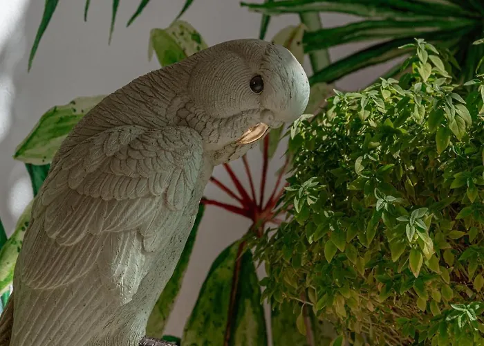 La Stella Glastros (Mykonos)