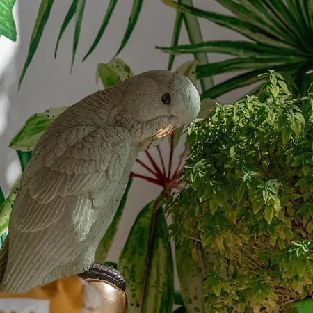 La Stella Гластрос