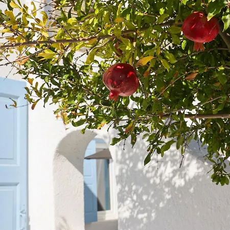 La Stella Ξενοδοχείο 4*