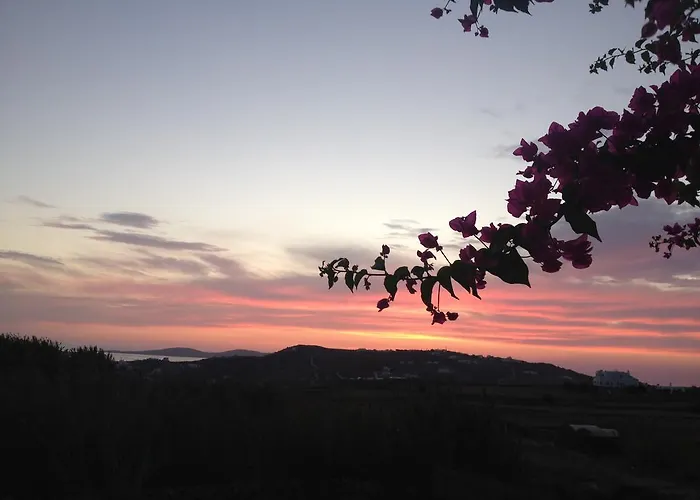 La Stella Hotel Glastros (Mykonos)